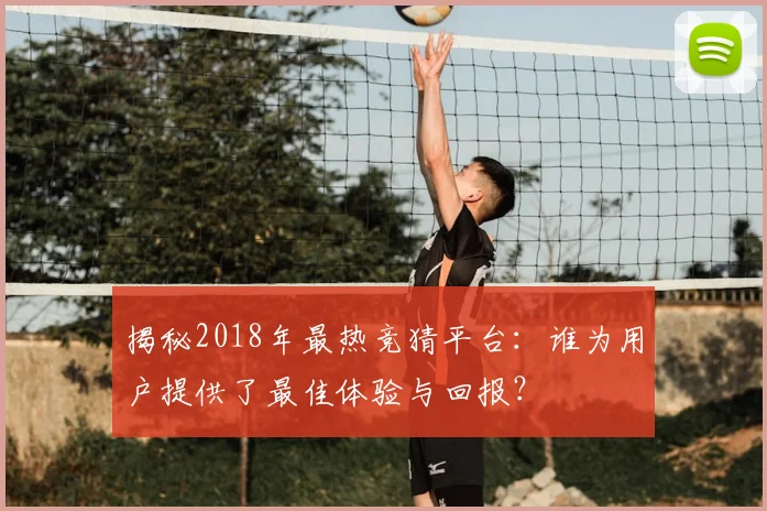 揭秘2018年最热竞猜平台：谁为用户提供了最佳体验与回报？