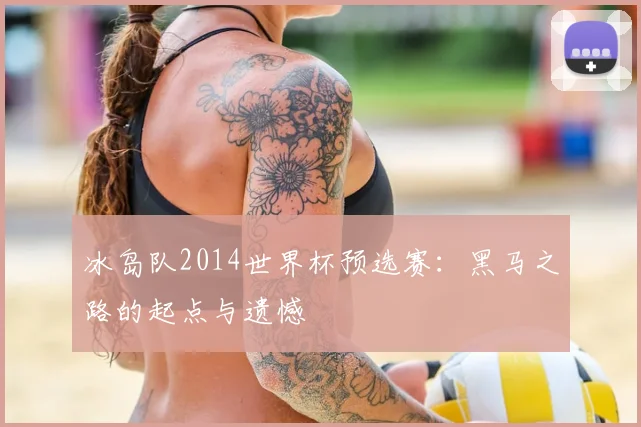 冰岛队2014世界杯预选赛：黑马之路的起点与遗憾