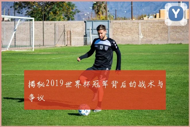 揭秘2019世界杯冠军背后的战术与争议