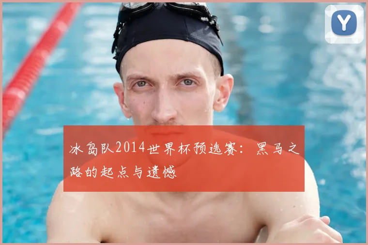 冰岛队2014世界杯预选赛：黑马之路的起点与遗憾