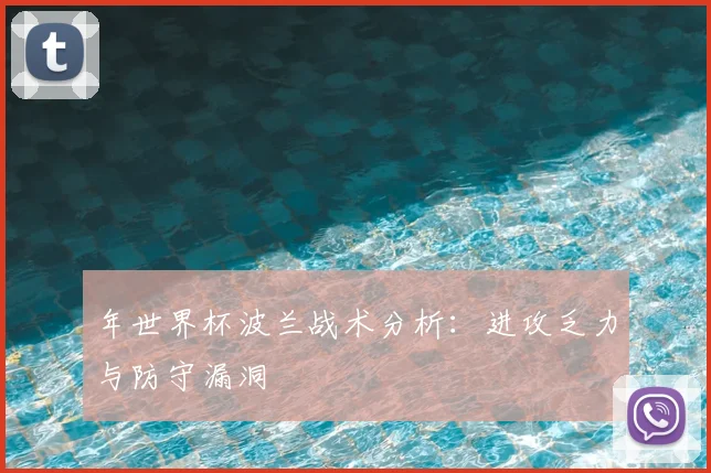 年世界杯波兰战术分析:进攻乏力与防守漏洞