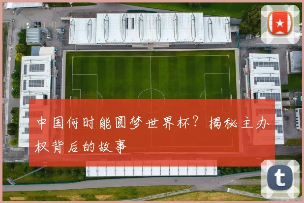 中国何时能圆梦世界杯？揭秘主办权背后的故事