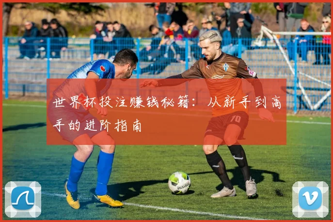 世界杯投注赚钱秘籍：从新手到高手的进阶指南