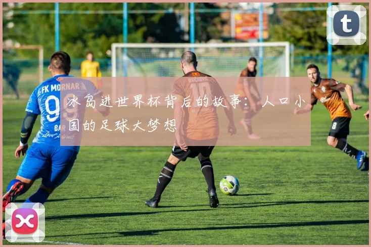 冰岛进世界杯背后的故事：人口小国的足球大梦想