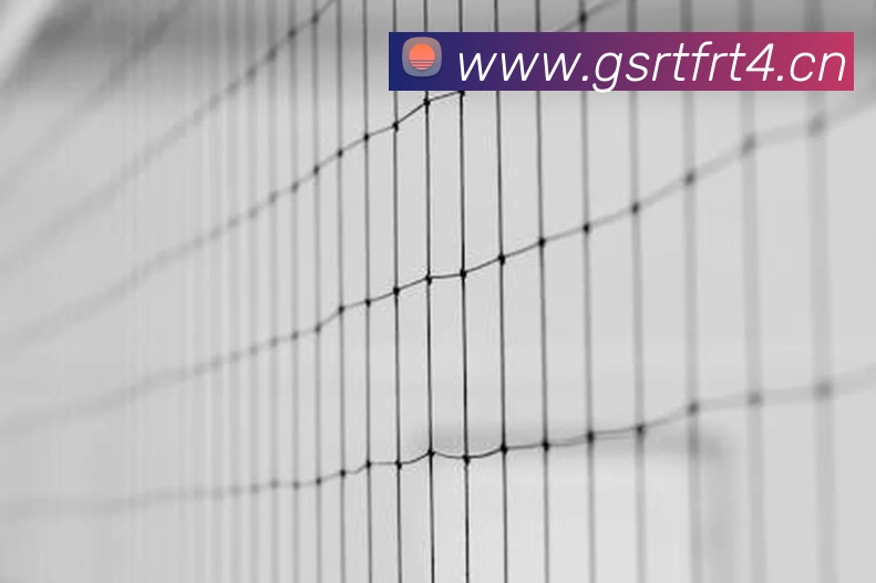 多媒体互动体验